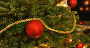 Photo of Christmas tree